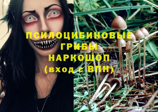 амф Алексин
